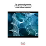 The Biophysical Modeling of the Transport Phenomena in the Human Organism