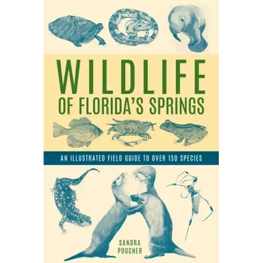 Wildlife of Florida's Springs: An Illustrated Field Guide to Over 150 Species