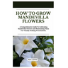 How to Grow Mandevilla Flowers: A Comprehensive Guide To Cultivating Mandevilla Flowers And Maintaining Them For Visually Striking Presentations.