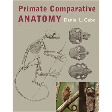 Primate Comparative Anatomy