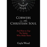 Cobwebs in the Christian Soul: And How to Zap the Spider Who Made Them