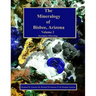 The Mineralogy of Bisbee, Arizona: Volume 2