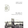 Brooklyn Is: Southeast of the Island: Travel Notes