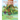 The Party Beneath the Oak Tree: The Ant and the...