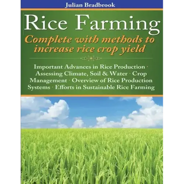 Rice Farming complete with methods to increase rice crop yield