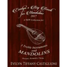 Evelyn's Big Book for Mandolins 2017: A Collection of Tunes for 3 Mandolins