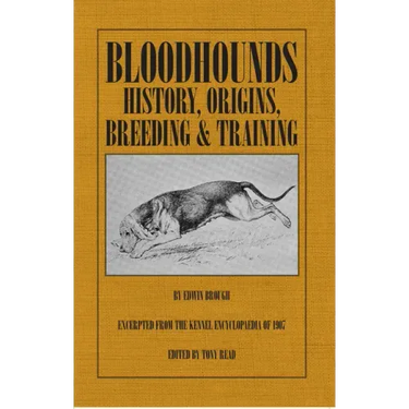 Bloodhounds: History - Origins - Breeding - Training