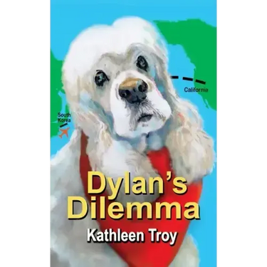 Dylan's Dilemma