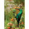 DIVINE EMBRACE New, 30 Chapter, 458page Revised Edition
