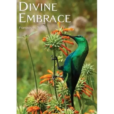 DIVINE EMBRACE New, 30 Chapter, 458page Revised Edition