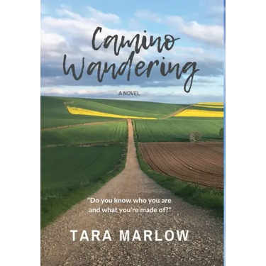 Camino Wandering - Hardback