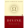 The Divine Milieu