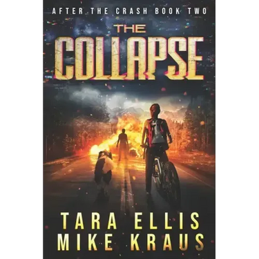 The Collapse: After the Crash Book 2