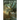 Apex Magazine 2021