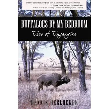 Buffaloes by My Bedroom