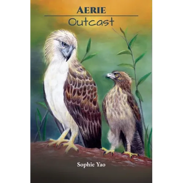 Aerie: Outcast