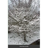 The Learning Tree