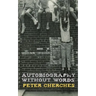 Autobiography Without Words