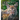 Coyote's Wild Home