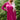 b507569493c94598a912bb5ba9775ecc-Max