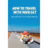 How To Travel With Your Cat: Tips And Tricks For Traveling With Cats: Tips For Traveling With Cats