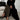 b74f9e1f-063c-4d80-b80f-1c7e7842a608-Max