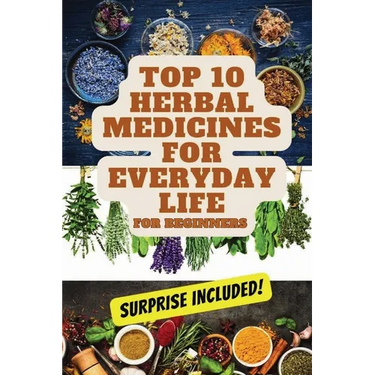 Top 10 Herbal Medicines for Everyday Life for Beginners