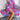 b8015d5b-178c-413a-b061-e3c203592fd0-Max