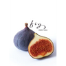 Fig