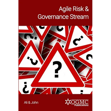 Agile Risk & Governance Stream