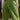 b978ddf1-9046-4000-ac27-d3f9d4645db2-Max