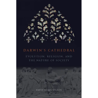 Darwin's Cathedral: Evolution, Religion, and the Nature of Society