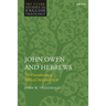 John Owen and Hebrews: The Foundation of Biblical Interpretation