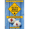 (How to do) The First Walk of Santiago de Compostela: All you need to know before during and after your walking