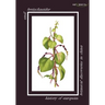 History of European Botanical Discoveries in China