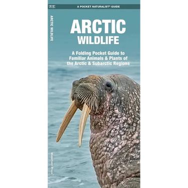Arctic Wildlife: A Folding Pocket Guide to Familiar Animals & Plants of the Arctic & Subarctic Regions
