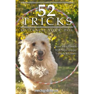52 Tricks To Teach Your Dog