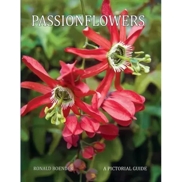 Passionflowers: A Pictorial Guide