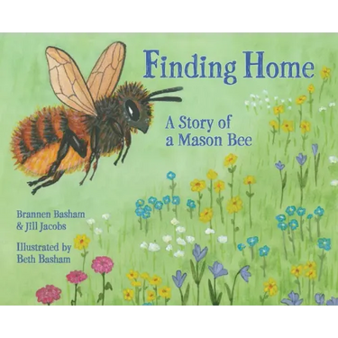Finding Home: A Story of a Mason Bee