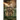 Secrets in the Mist: Volume 1