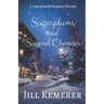 Sugarplums and Second Chances: A Lake Endwell Romance Novella