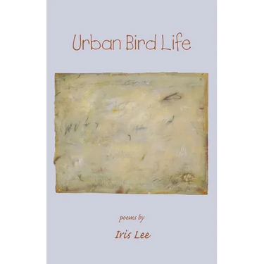 Urban Bird Life