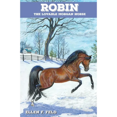 Robin: The Lovable Morgan Horse