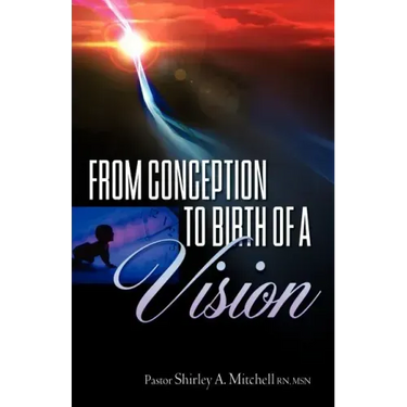 From Conception to Birth of a Vision