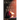 Inside the Red Tent