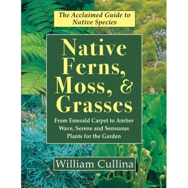 Native Ferns, Moss, and Grasses