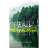 Lakeside Imagination