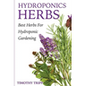 Hydroponics Herbs: Best Herbs For Hydroponic Gardening