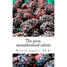 The poor, misunderstood calorie: calories proper