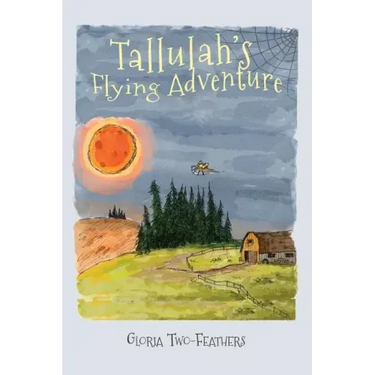 Tallulah's Flying Adventure: An Adventure Story for Children 8-12